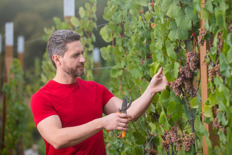 Best Bathroom Remodeling pros in Grapevine, TX